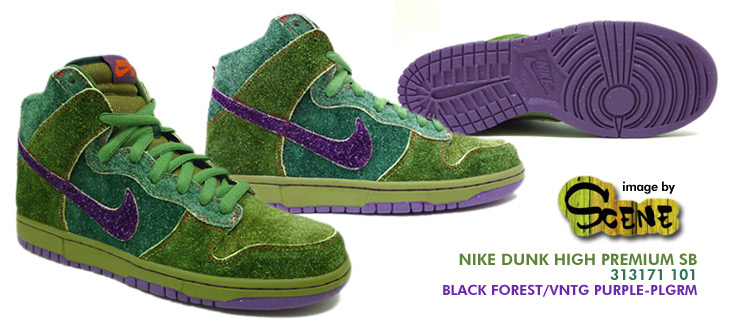 NIKE DUNK HIGH PREMIUM SB 101 カラー / Colored by Todd Brutrud